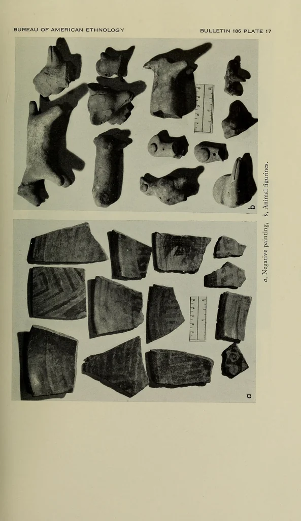 An illustration from Bulletin, 1901, leaf 55