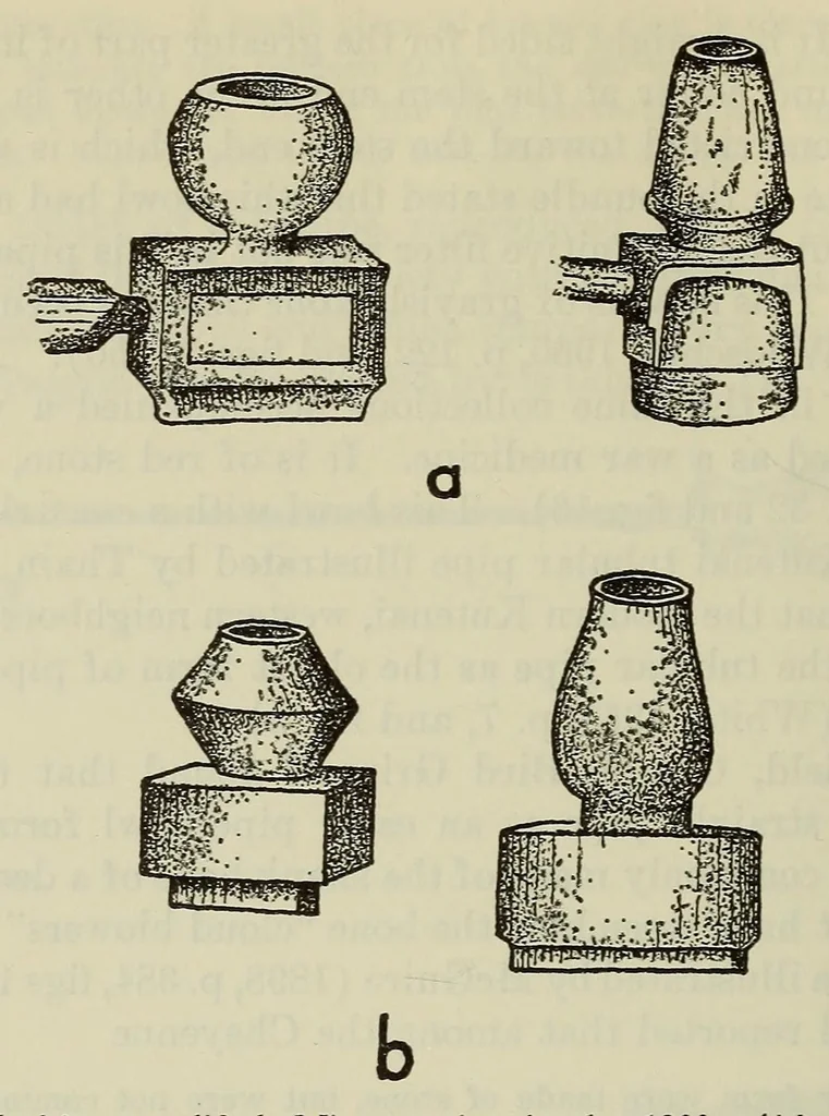 An illustration from Bulletin, 1901, leaf 70