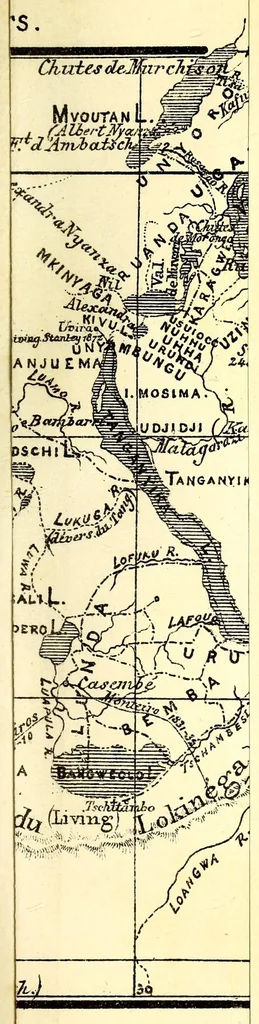 An illustration from Bulletin, 1877, leaf 533
