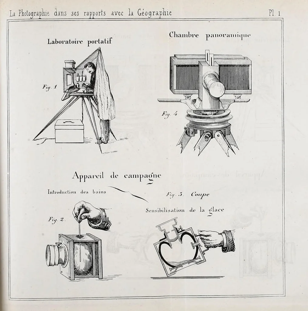 An illustration from Bulletin, 1877, leaf 337