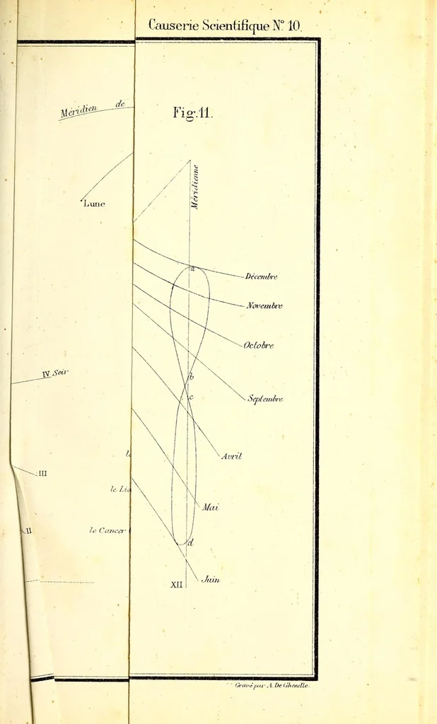 An illustration from Bulletin, 1877, leaf 867