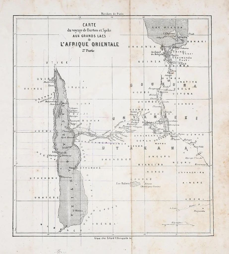 An illustration from Bulletin, 1877, leaf 161