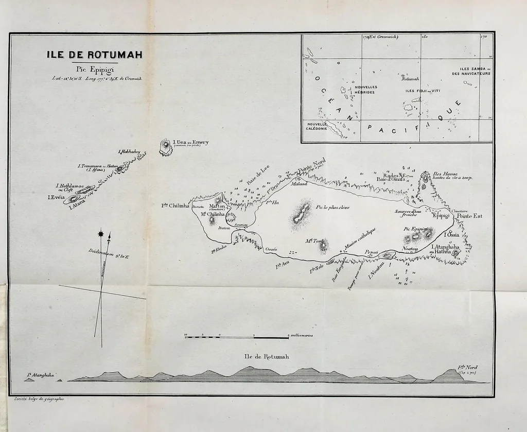 An illustration from Bulletin, 1877, leaf 281