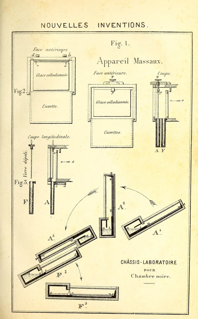 An illustration from Bulletin, 1877, leaf 125