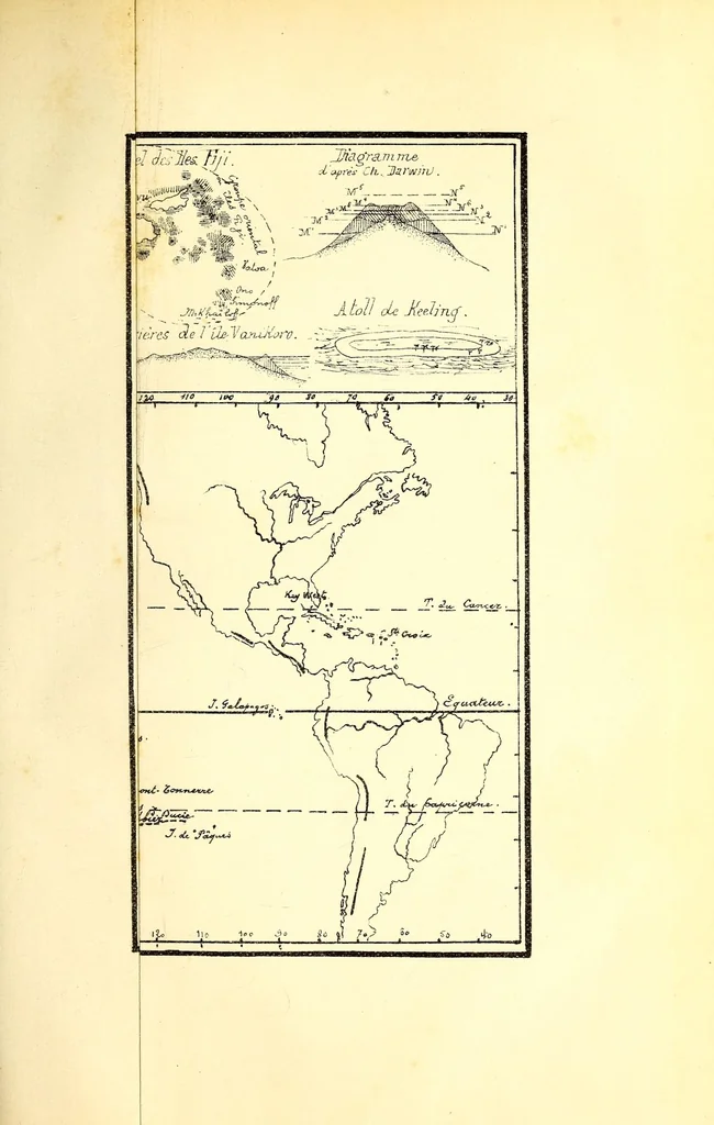 An illustration from Bulletin, 1877, leaf 401
