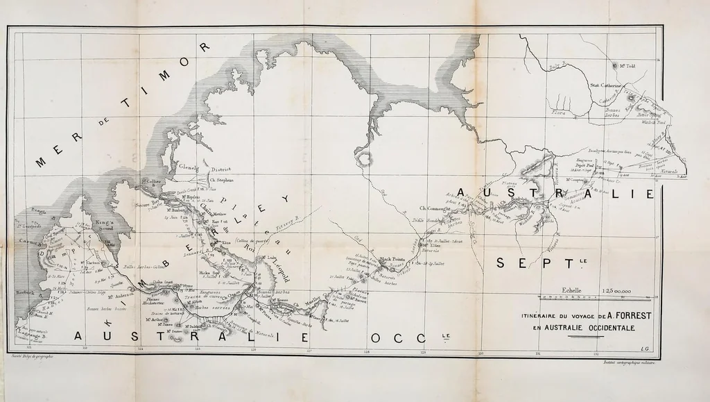 An illustration from Bulletin, 1877, leaf 517