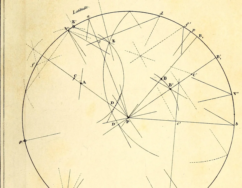 An illustration from Bulletin, 1877, leaf 645