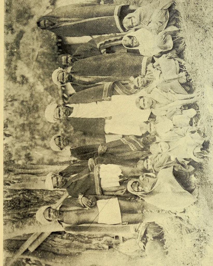 An illustration from Bulletin, 1894, leaf 247