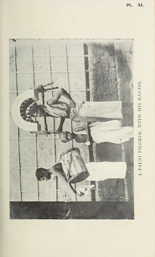An illustration from Bulletin, 1894, leaf 291
