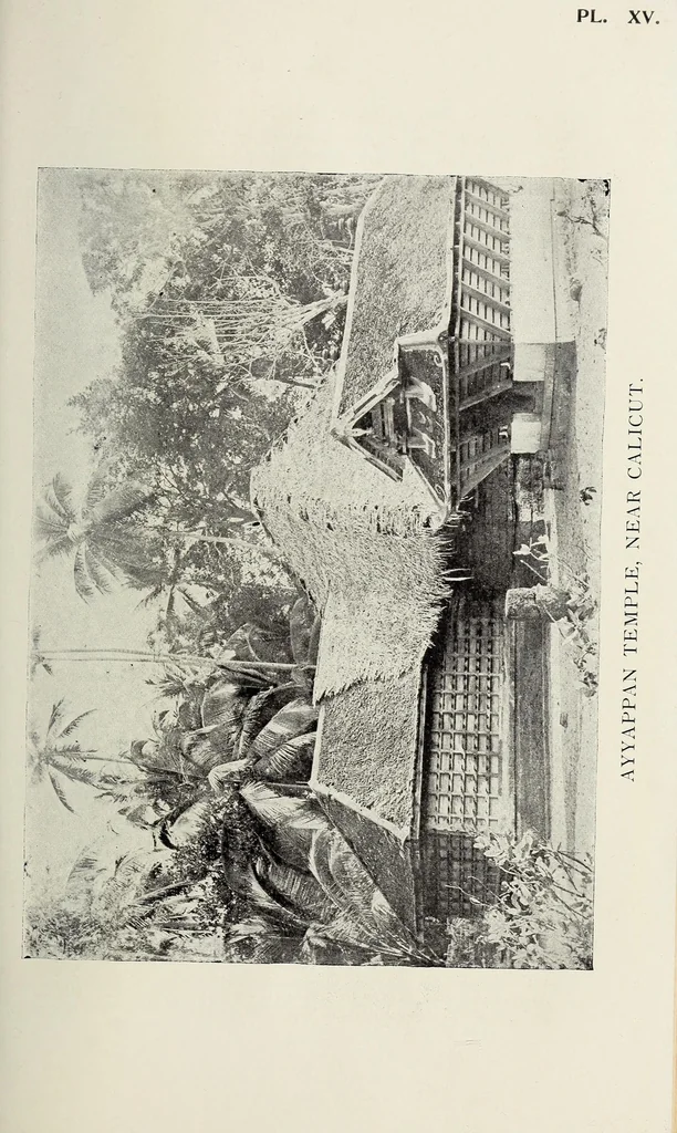 An illustration from Bulletin, 1894, leaf 341