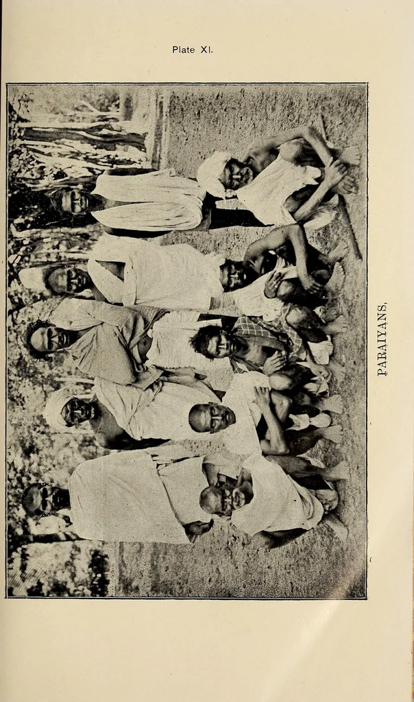 An illustration from Bulletin, 1894, leaf 101