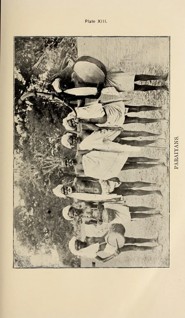 An illustration from Bulletin, 1894, leaf 125