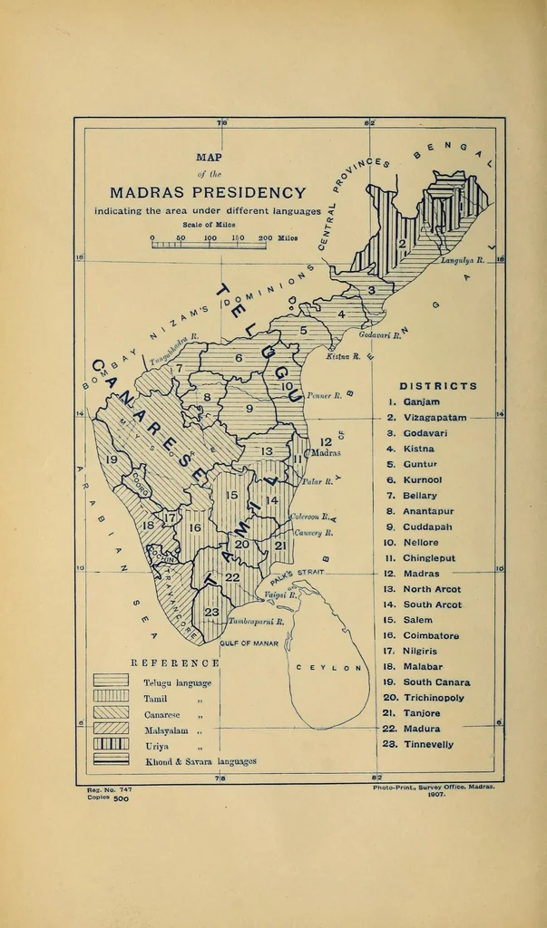 An illustration from Bulletin, 1894, leaf 154