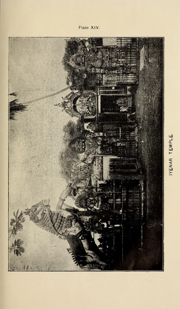 An illustration from Bulletin, 1894, leaf 165