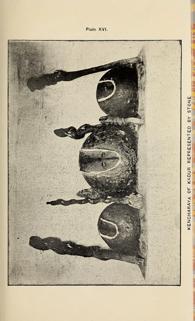 An illustration from Bulletin, 1894, leaf 175