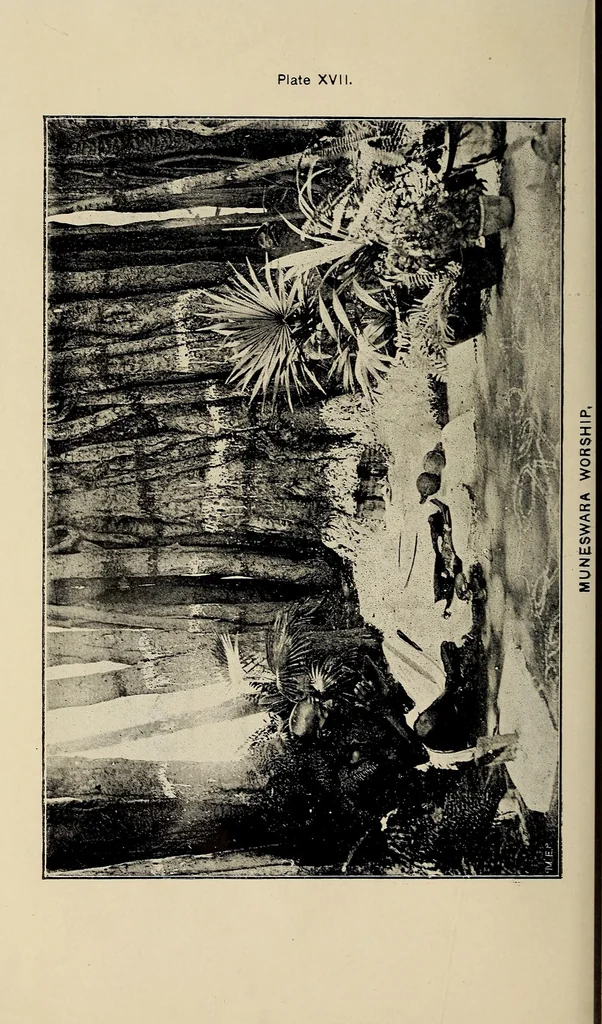An illustration from Bulletin, 1894, leaf 180