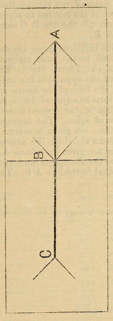 An illustration from Bulletin, 1894, leaf 21