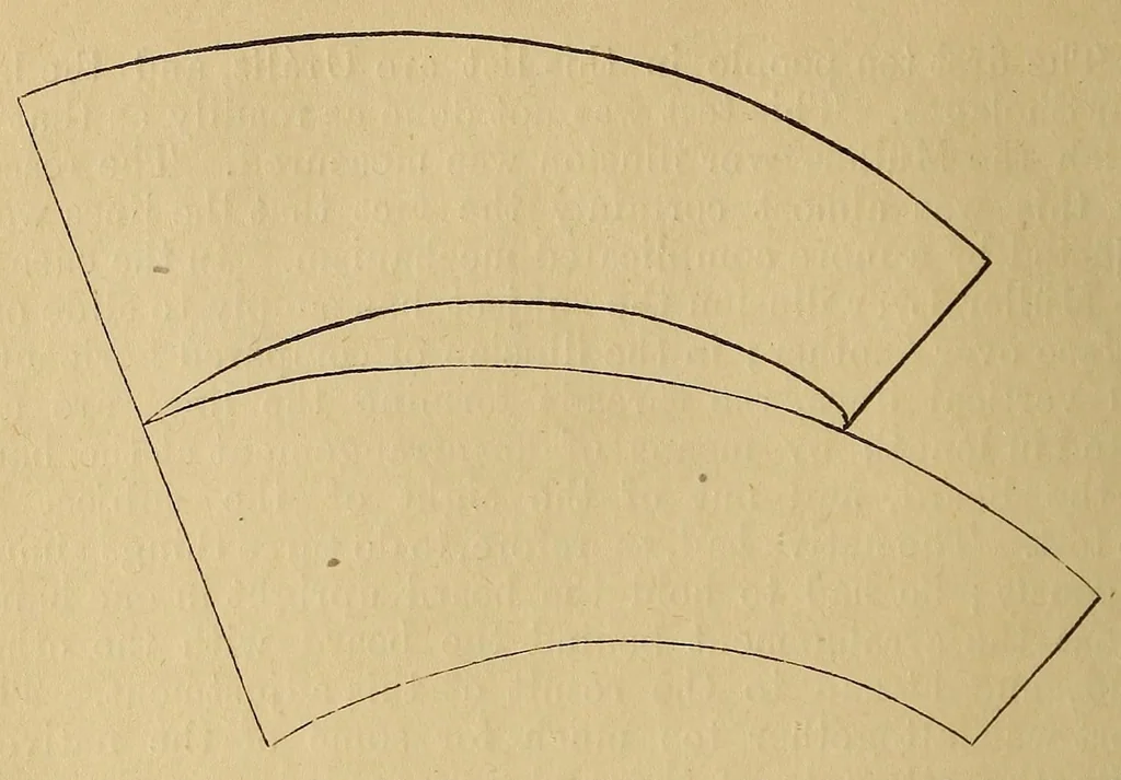 An illustration from Bulletin, 1894, leaf 28