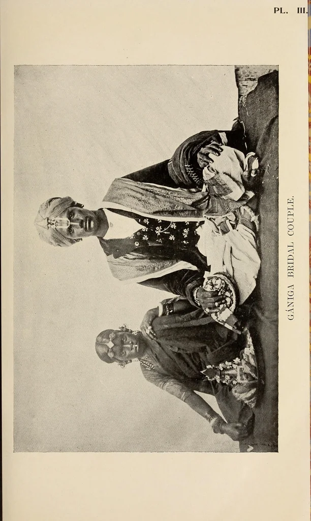 An illustration from Bulletin, 1894, leaf 45