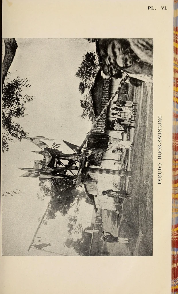 An illustration from Bulletin, 1894, leaf 63