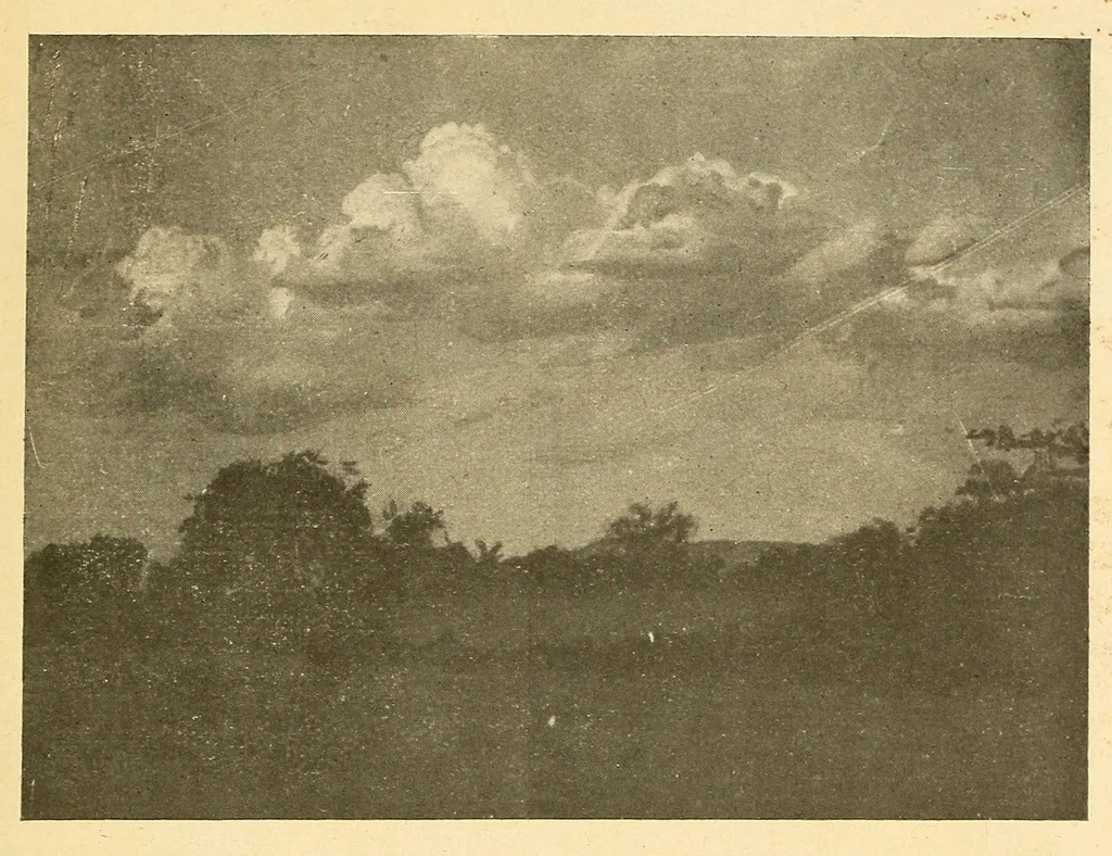 An illustration from Bulletin du Comité d'études historiques et scientifiques de l'Afrique occidentale française, 1918, leaf 183