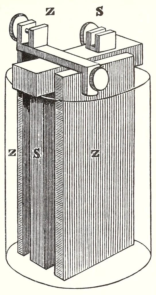 An illustration from Bulletin - United States National Museum, 1877, leaf 267
