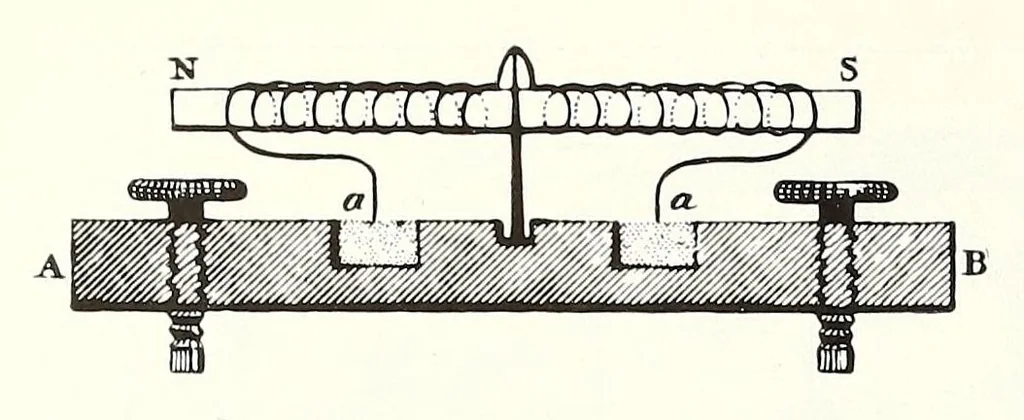 An illustration from Bulletin - United States National Museum, 1877, leaf 282
