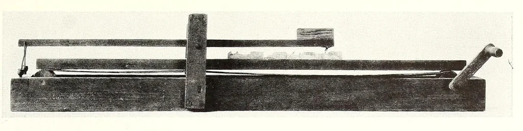 An illustration from Bulletin - United States National Museum, 1877, leaf 321