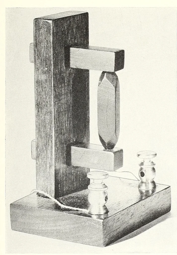 An illustration from Bulletin - United States National Museum, 1877, leaf 349