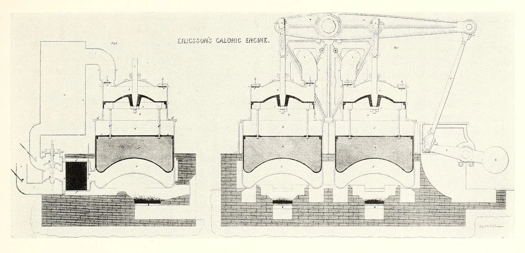 An illustration from Bulletin - United States National Museum, 1877, leaf 61