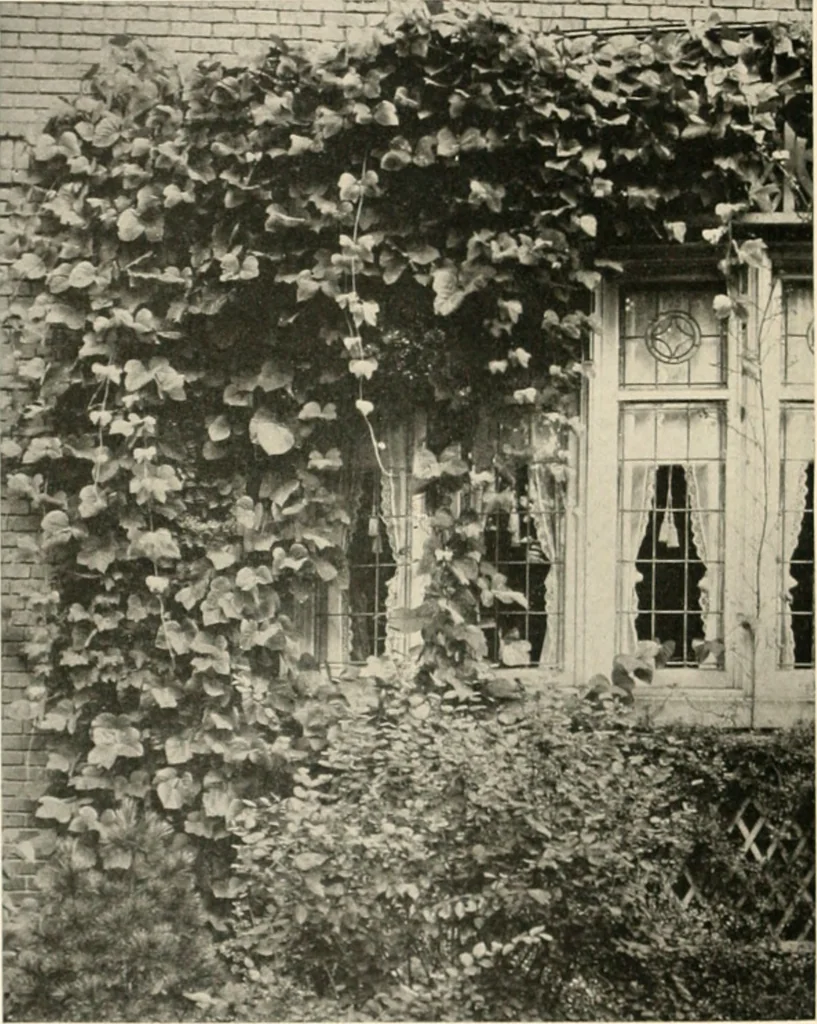 An illustration from Bungalows; their design, construction and furnishing, with suggestions also for camps, summer homes and cottages of similar character, 1911, leaf 193