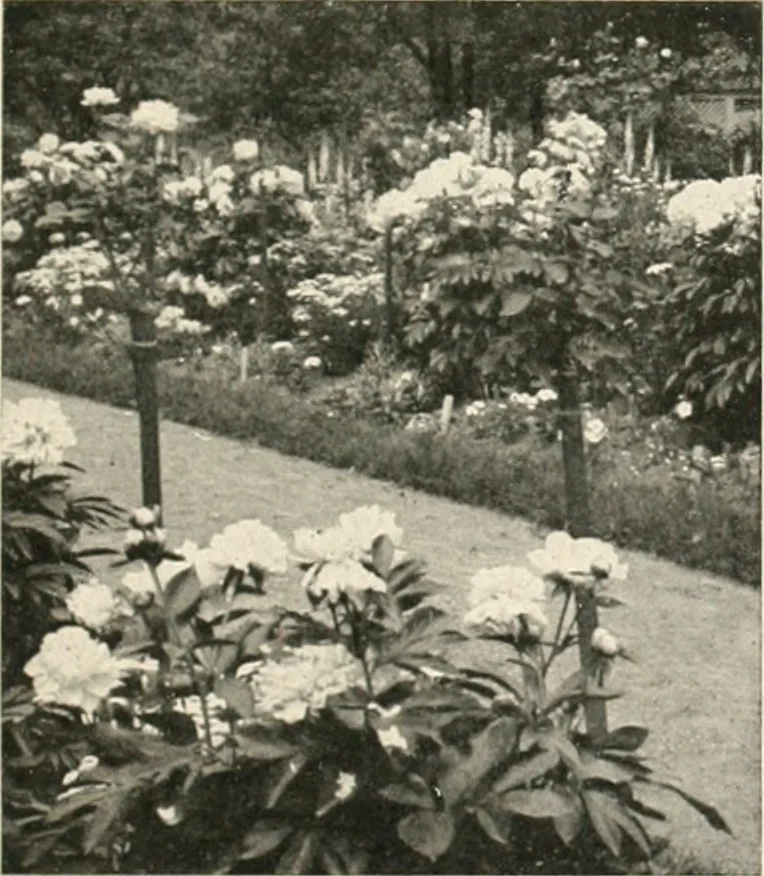 An illustration from Bungalows; their design, construction and furnishing, with suggestions also for camps, summer homes and cottages of similar character, 1911, leaf 196