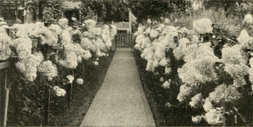 An illustration from Bungalows; their design, construction and furnishing, with suggestions also for camps, summer homes and cottages of similar character, 1911, leaf 199