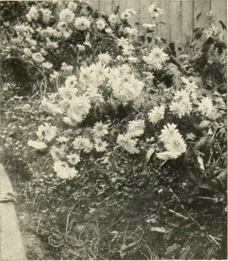 An illustration from Bungalows; their design, construction and furnishing, with suggestions also for camps, summer homes and cottages of similar character, 1911, leaf 204