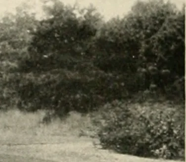 An illustration from Bungalows; their design, construction and furnishing, with suggestions also for camps, summer homes and cottages of similar character, 1911, leaf 47