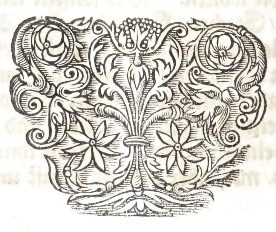 An illustration from Burgerliche Wohnungs Baw-Kunst, oder, Gründlicher Bericht, wie auff einem vorgegebenem Platz, ein wolgestelltes Wohn-hauss, neben dessen Losamentern, die Schälung des Kreutz-gewölbten Kellers, Stiegen, Schnecken, deren krummen und breiten Tritten, Schreg-fenstern, Verbürstungen des Kopffs und Hand-haben, wie solche am zier- und läng-ständigsten mögen gebawet werden ..., 1688, leaf 14