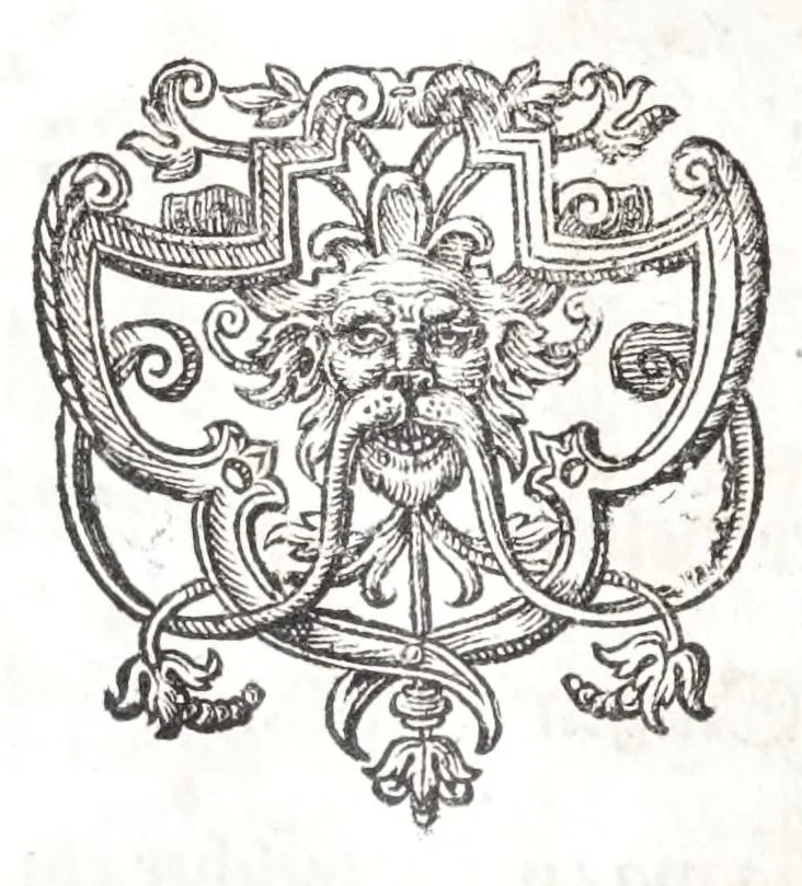 An illustration from Burgerliche Wohnungs Baw-Kunst, oder, Gründlicher Bericht, wie auff einem vorgegebenem Platz, ein wolgestelltes Wohn-hauss, neben dessen Losamentern, die Schälung des Kreutz-gewölbten Kellers, Stiegen, Schnecken, deren krummen und breiten Tritten, Schreg-fenstern, Verbürstungen des Kopffs und Hand-haben, wie solche am zier- und läng-ständigsten mögen gebawet werden ..., 1688, leaf 46