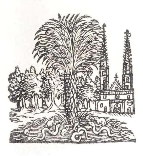 An illustration from Burgerliche Wohnungs Baw-Kunst, oder, Gründlicher Bericht, wie auff einem vorgegebenem Platz, ein wolgestelltes Wohn-hauss, neben dessen Losamentern, die Schälung des Kreutz-gewölbten Kellers, Stiegen, Schnecken, deren krummen und breiten Tritten, Schreg-fenstern, Verbürstungen des Kopffs und Hand-haben, wie solche am zier- und läng-ständigsten mögen gebawet werden ..., 1688, leaf 9