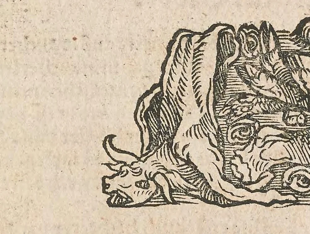 An illustration from Das Bůch zů distilieren die zůsamen gethonen Ding : Composita genant : durch die einzigen Ding und das Bůch Thesaurus Pauperum genant, für die Armen yetz von neüwem wider getruckt und von unzalbarn Irrthumen gereynigt unnd gebessert ..., 1532, leaf 631