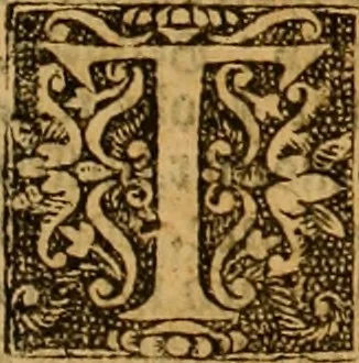 An illustration from The Byble : that is to saye, all the holye Scripture, in whiche are contayned the olde and new Testament : truly and purely translated into Englishe : & now lately with great industry & diligence recognysed .., 1551, leaf 314