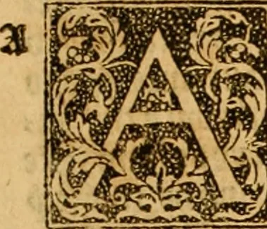 An illustration from The Byble : that is to saye, all the holye Scripture, in whiche are contayned the olde and new Testament : truly and purely translated into Englishe : & now lately with great industry & diligence recognysed .., 1551, leaf 344
