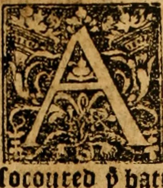 An illustration from The Byble : that is to saye, all the holye Scripture, in whiche are contayned the olde and new Testament : truly and purely translated into Englishe : & now lately with great industry & diligence recognysed .., 1551, leaf 461