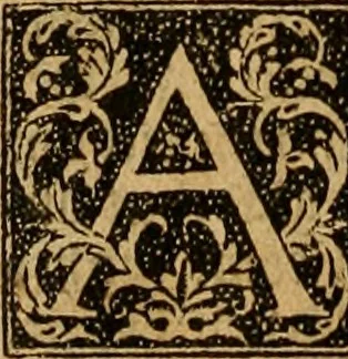 An illustration from The Byble : that is to saye, all the holye Scripture, in whiche are contayned the olde and new Testament : truly and purely translated into Englishe : & now lately with great industry & diligence recognysed .., 1551, leaf 545