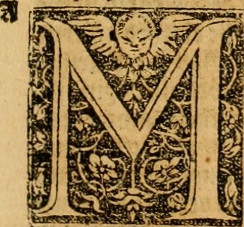 An illustration from The Byble : that is to saye, all the holye Scripture, in whiche are contayned the olde and new Testament : truly and purely translated into Englishe : & now lately with great industry & diligence recognysed .., 1551, leaf 558