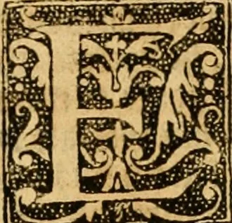 An illustration from The Byble : that is to saye, all the holye Scripture, in whiche are contayned the olde and new Testament : truly and purely translated into Englishe : & now lately with great industry & diligence recognysed .., 1551, leaf 570