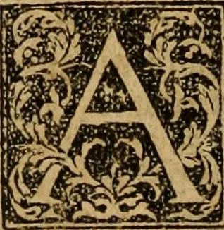 An illustration from The Byble : that is to saye, all the holye Scripture, in whiche are contayned the olde and new Testament : truly and purely translated into Englishe : & now lately with great industry & diligence recognysed .., 1551, leaf 571