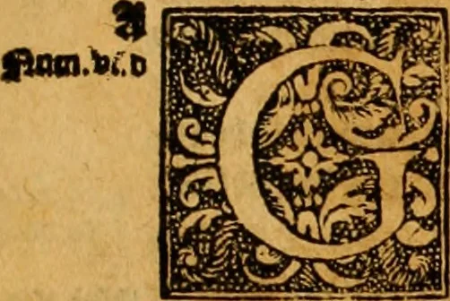 An illustration from The Byble : that is to saye, all the holye Scripture, in whiche are contayned the olde and new Testament : truly and purely translated into Englishe : & now lately with great industry & diligence recognysed .., 1551, leaf 616