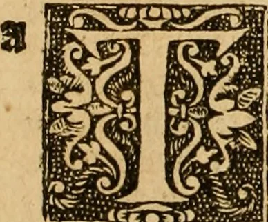 An illustration from The Byble : that is to saye, all the holye Scripture, in whiche are contayned the olde and new Testament : truly and purely translated into Englishe : & now lately with great industry & diligence recognysed .., 1551, leaf 691