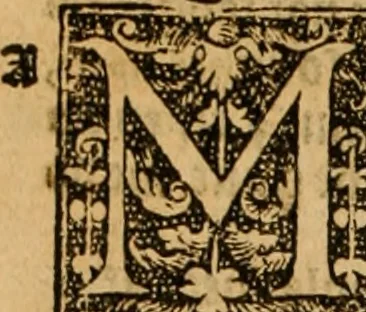 An illustration from The Byble : that is to saye, all the holye Scripture, in whiche are contayned the olde and new Testament : truly and purely translated into Englishe : & now lately with great industry & diligence recognysed .., 1551, leaf 699