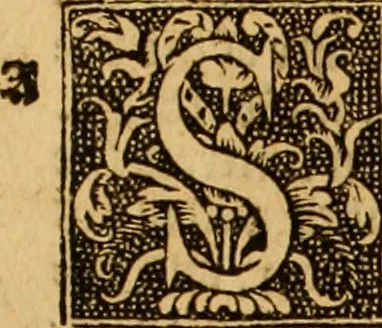 An illustration from The Byble : that is to saye, all the holye Scripture, in whiche are contayned the olde and new Testament : truly and purely translated into Englishe : & now lately with great industry & diligence recognysed .., 1551, leaf 712